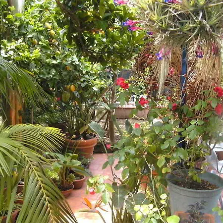 Hotel Fiorentina