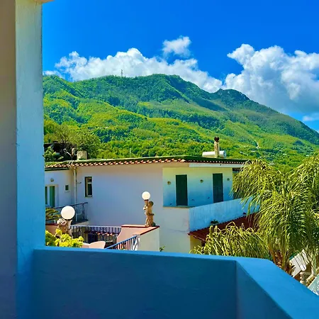 Fiorentina Hotel 3*