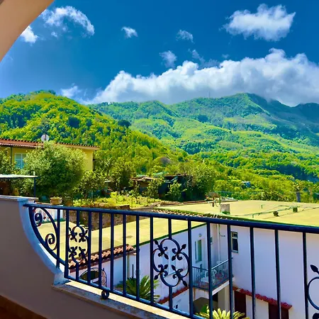 Fiorentina Hotel 3*